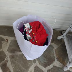 Girls Clothes Size 10/12