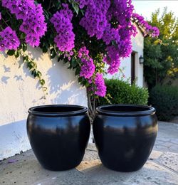 Clay pots