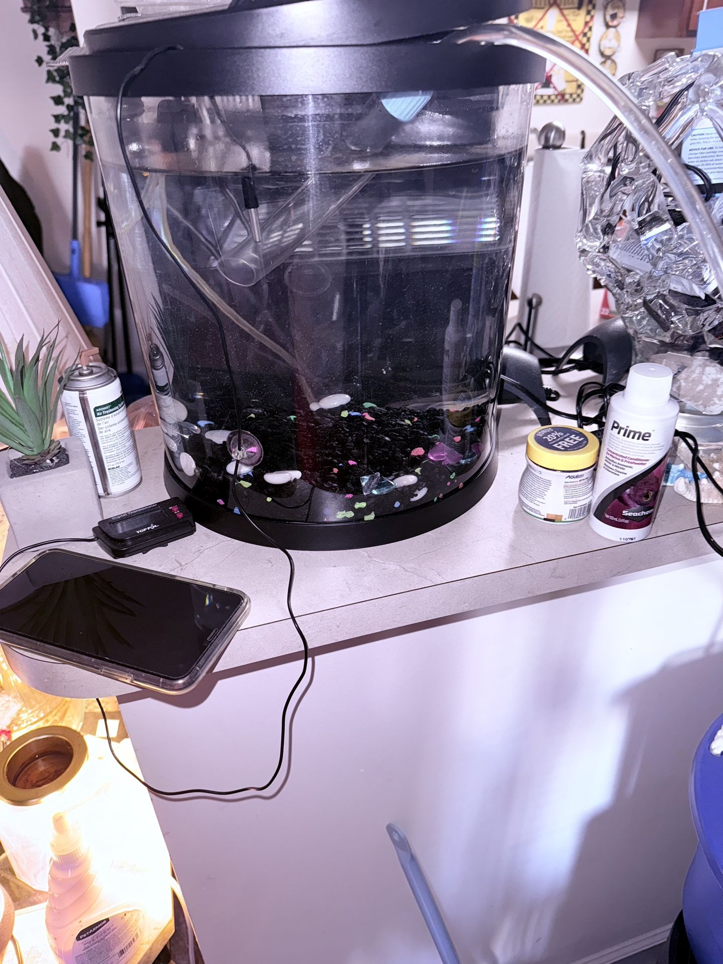 Moon Shape Fish Tank