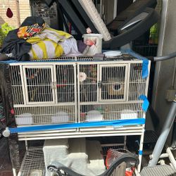 White Rod Iron Bird Cage Does Have Separation Area For You Can Make It 10 To 2 Cages $100. Just Wanna Get It Out Of Here.