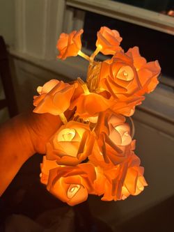 Rositas con luces