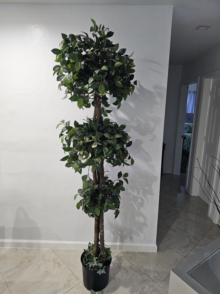 Fake Plant ,about 7 Feet tall