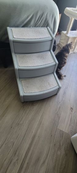 Pet steps