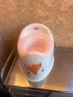 Potty training toilet