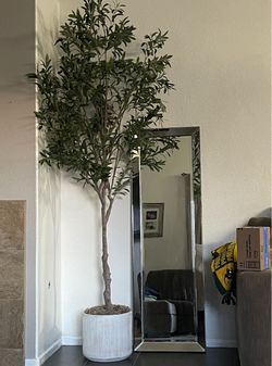 Mirror