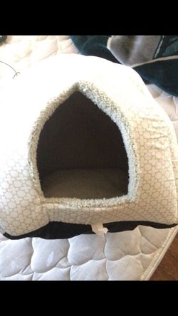 Kitten home