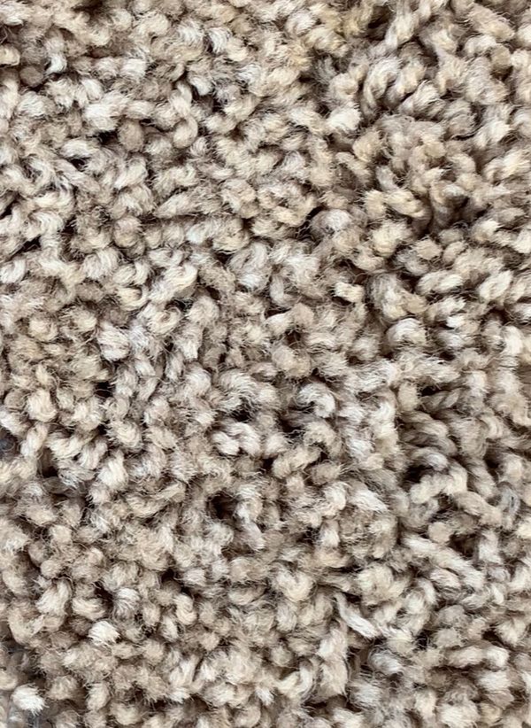 Carpet 12x12 Roll Light Tan for Sale in Fresno, CA OfferUp