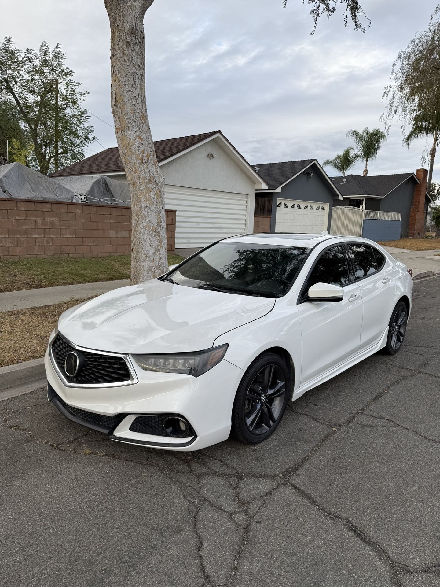 2019 Acura TLX