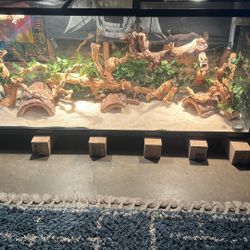 110 Gallon Fish tank 