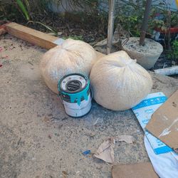 Animal Bedding Pine Shavings