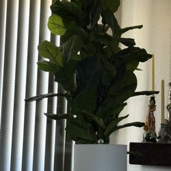 Faux Tree Plant 