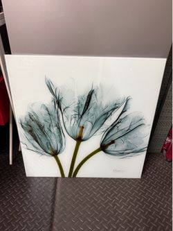 5 Glass Photos