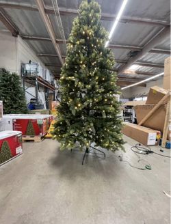 Home Accents 7.5ft Willow Creek Spruce LED Pre-Lit Tree