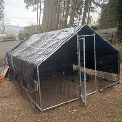 Dog/Chicken Run