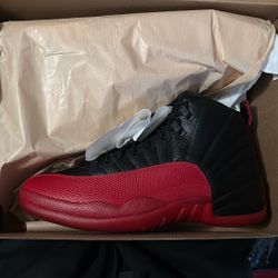 Jordan 12 Flu Game DS
