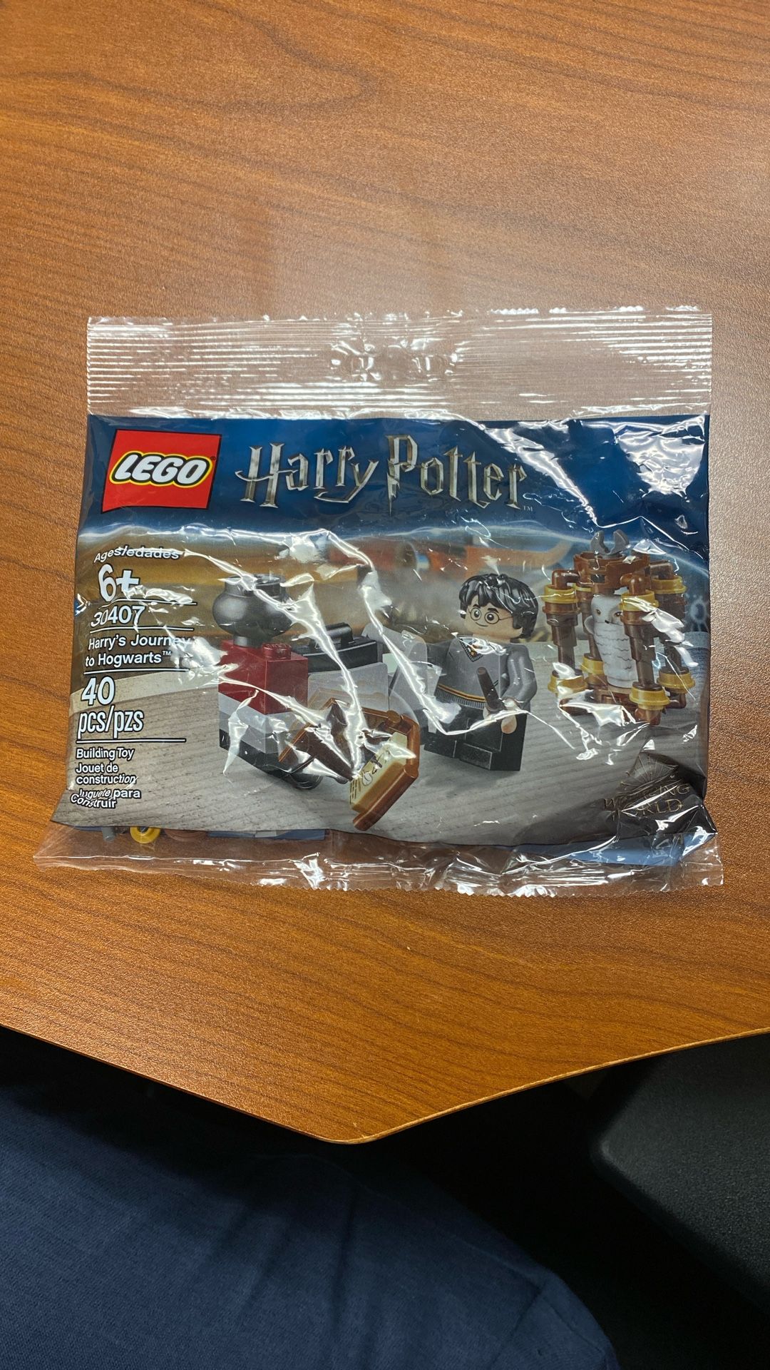 LEGO 30407 Harry’s Journey To Hogwarts