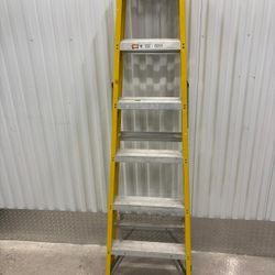 Keller 6 Foot tall ladder … $100