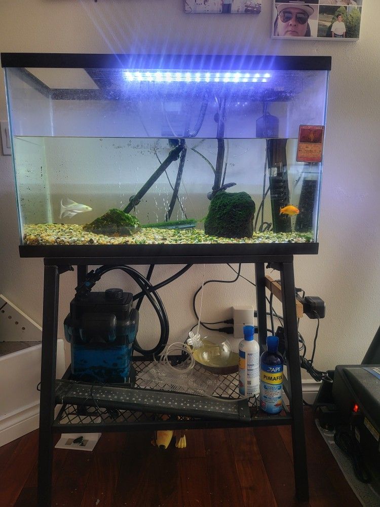 30 Gal. Fish tank