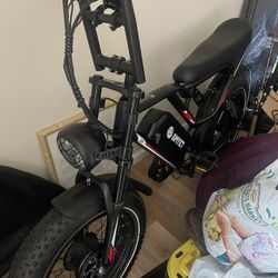  Ew Electric Bike 2 Motors 