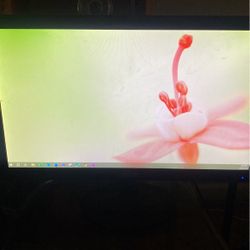 20” Computer Monitor 