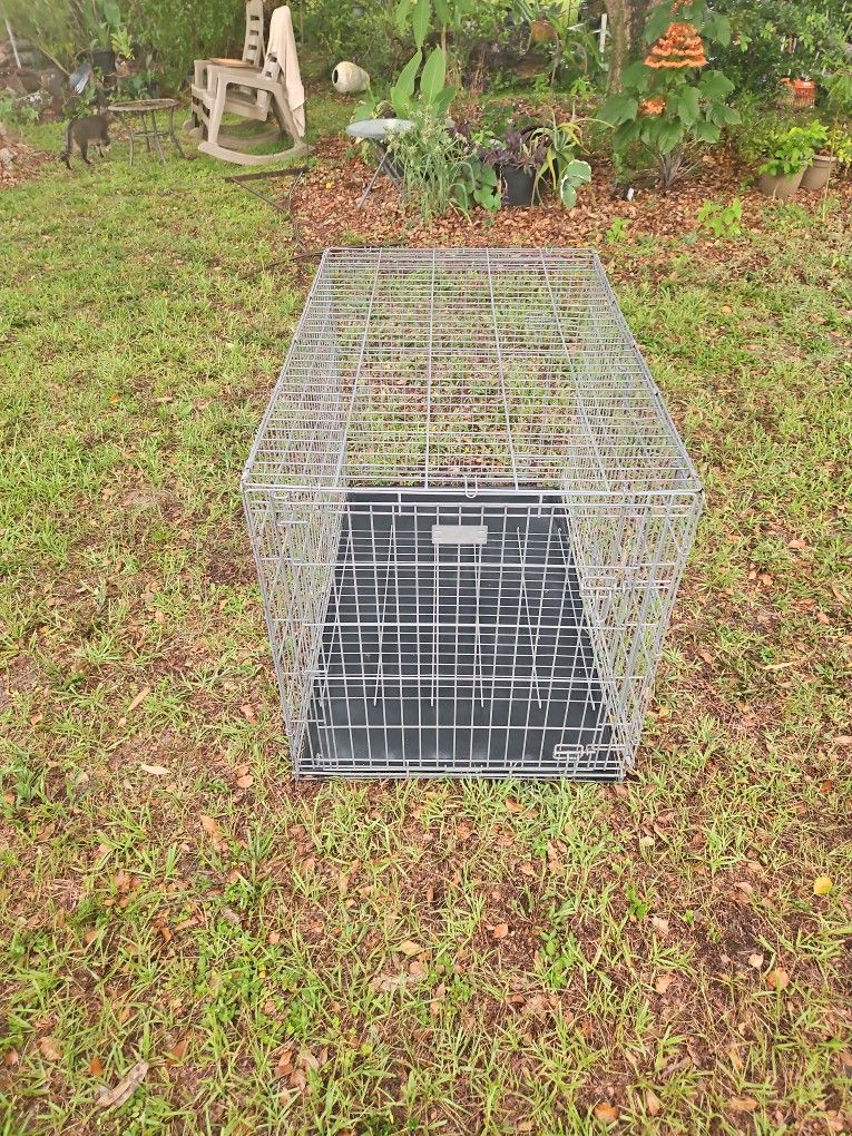 Dog Crate