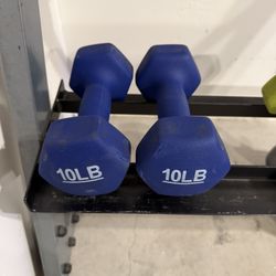10lb Dumbbells