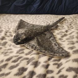 Stingray Stuffed Animal