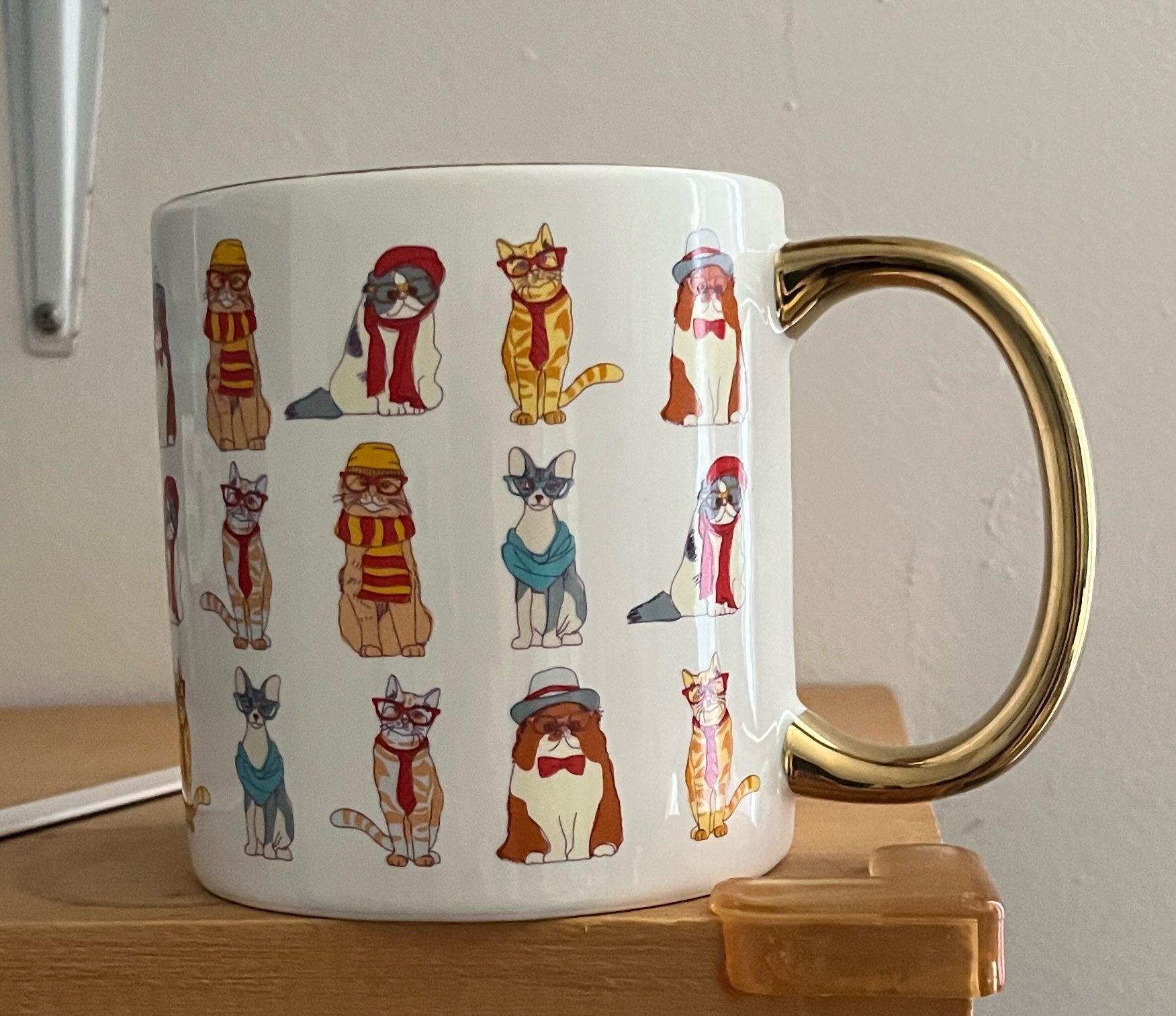 Brand New “Feline Fashionable Mug”