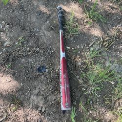 Bat