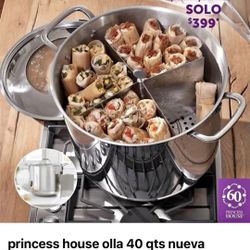 Olla De 40qts Con Divisor Princess House 