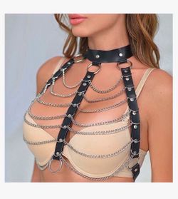 Chain harness