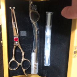 Point Cutting Shears with Razor