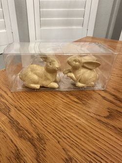 $3 - New in package.  Decorative bunny figurines, a pair. Great for spring or Easter decor. Please pickup in the area of 36th Ave and Pinnacle Peak wi