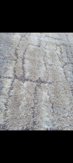 110x80 Beautifull Area Rug.