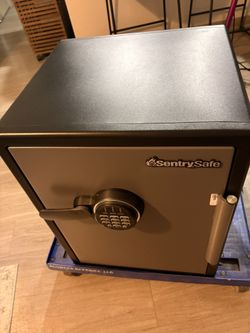 Sentry Safe / Caja De Seguridad