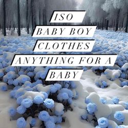 ISO Baby Boy Clothes 
