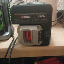 Echo 58 Volt Quick Charge