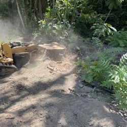 Stump Grinding