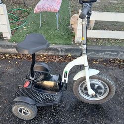 EuroScooter 3 Wheel Adult Scooter W/ Lift For Carrying On Vehicle