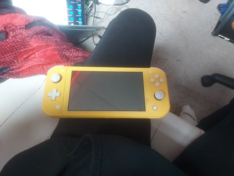 Nintendo Lite