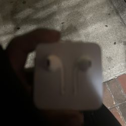 Apple Headphones 