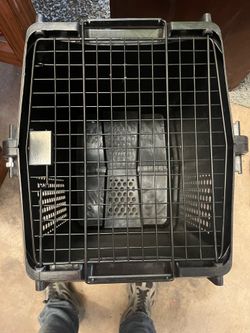 Dog kennel