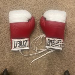 Everlast 1Punching Gloves