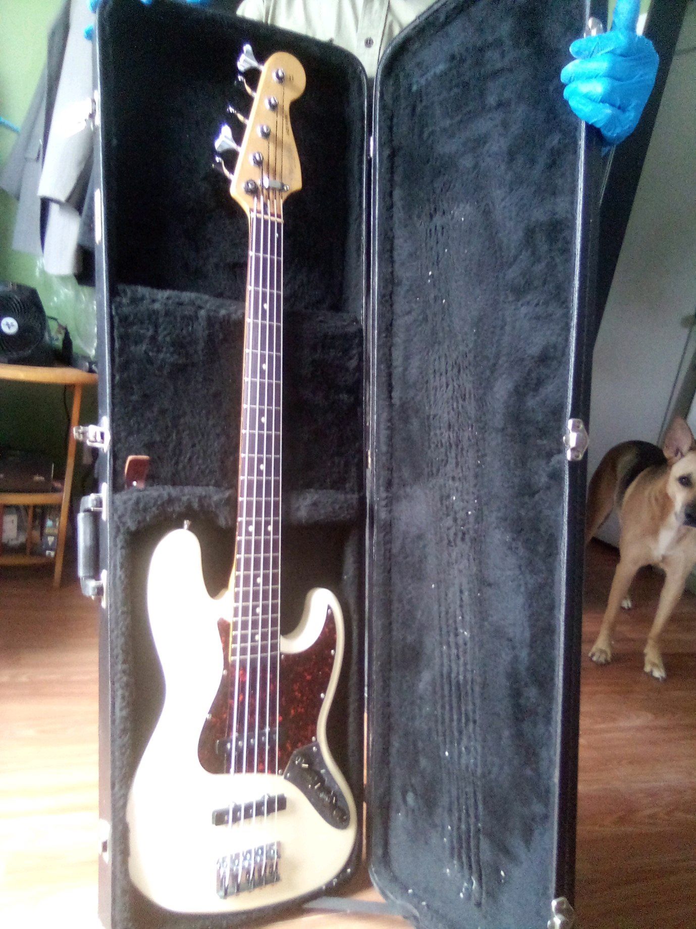 Fender Bass Guitar