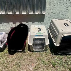 Assorted Sizes Pet Taxi Carrier 