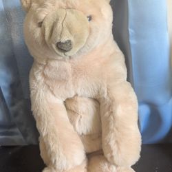 Stuffed Animal 