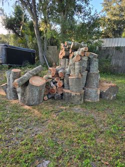 Oak firewood