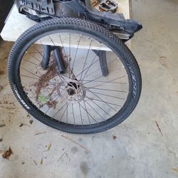 Vera Bike Wheel And Tire Ion