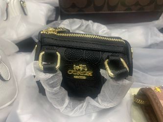 Coach Mini Purses