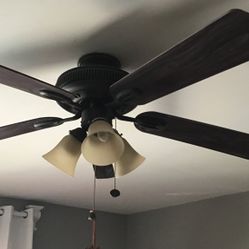 Beautiful Ceiling Fan With Lights